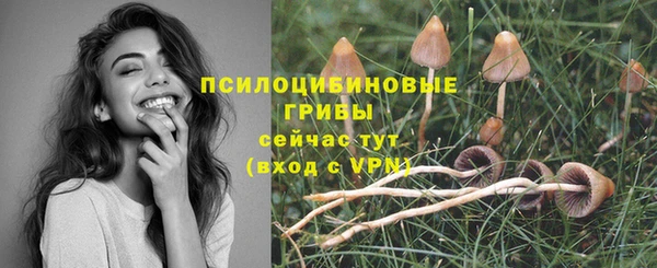 спайс Алексеевка
