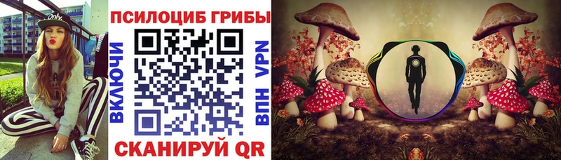 Галлюциногенные грибы Psilocybine cubensis где найти наркотики Шумиха
